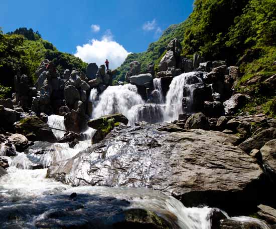 平利芍药谷入选2017年全国优选旅游项目名录