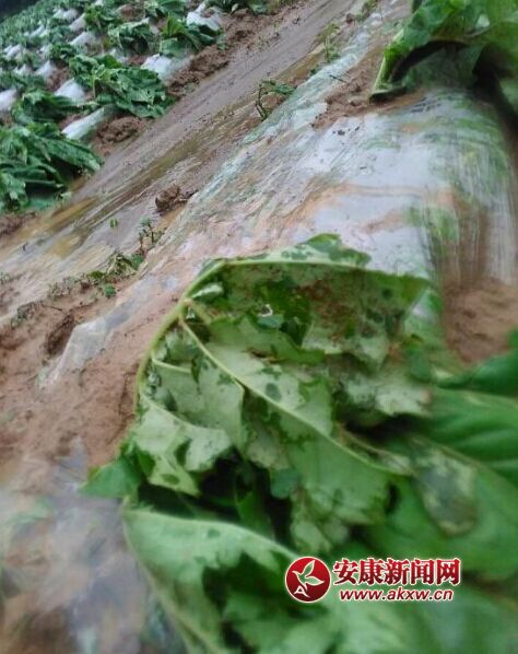 QQͼƬ20160605153630.jpg