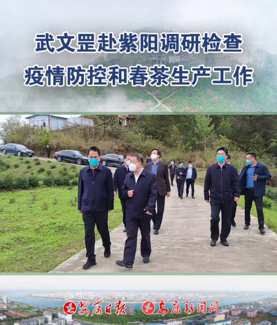 市长武文罡赴紫阳县调研检查疫情防控和春茶生产工作
