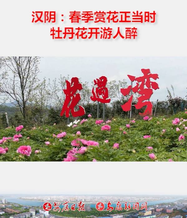 汉阴县城关镇五一村花遇湾牡丹园里10万余株牡丹花已竞相开放