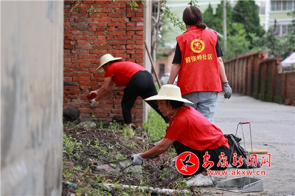 志愿者清理背街小巷环境卫生