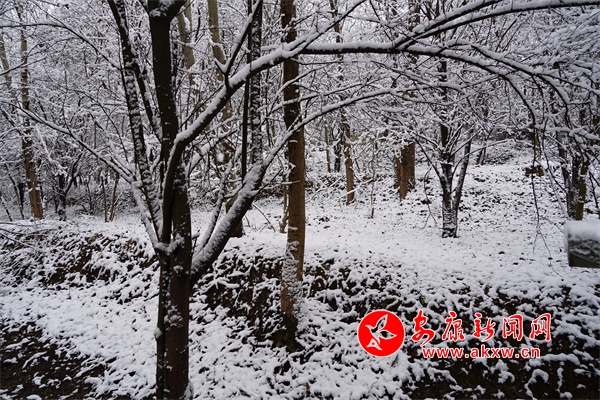 汉阴县迎来立春首雪