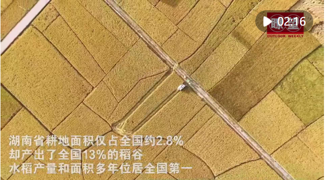 ΢ͼƬ_20241218212025.png