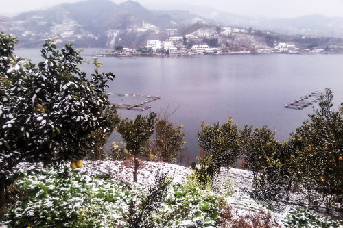 瀛湖初雪